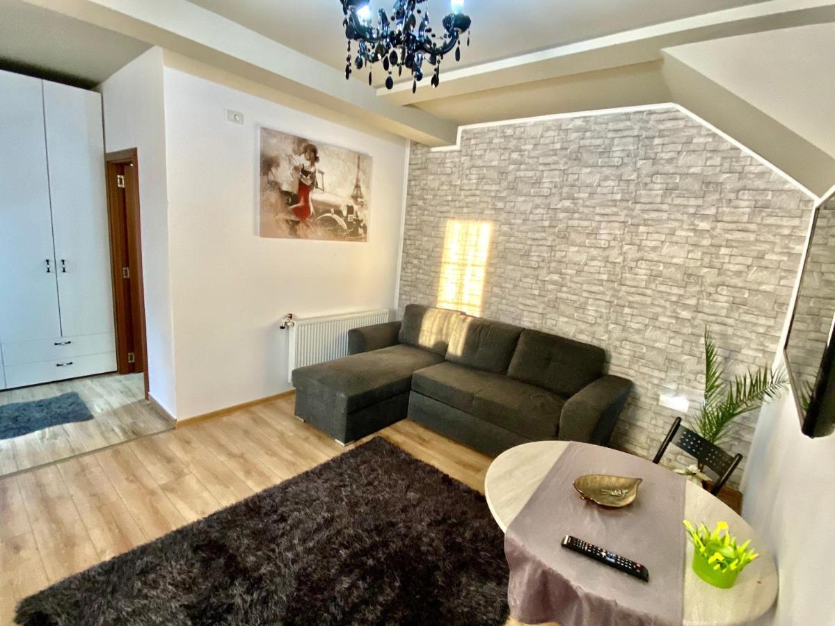 Apartment Place To Timişoara